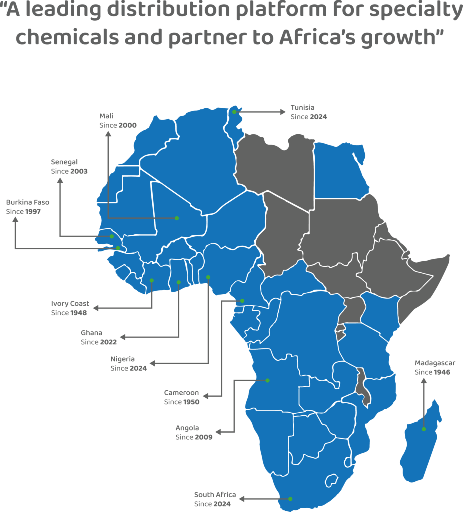 solevo afrique local partners site