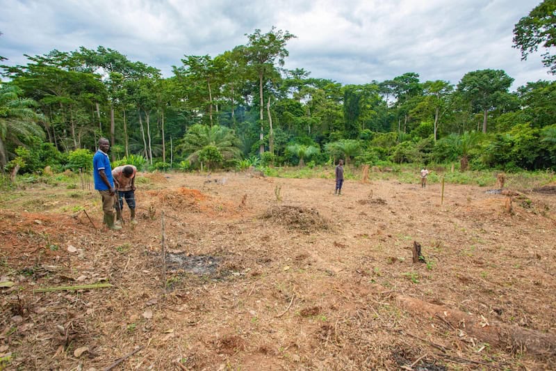Empowering Rural Women1