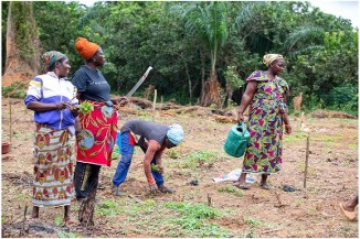Empowering rural women